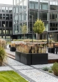 THEPARK_MINI-1.jpg