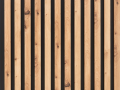 p3.png