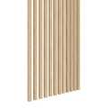 r3181S.jpg