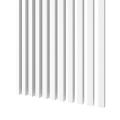 StandardBialeTloBiale.jpg
