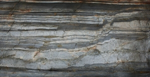 Kamień dekoracyjny burning forest  - Fornir Kamienny