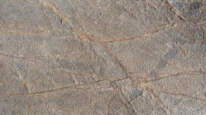 Kamień dekoracyjny rainforest  - Fornir Kamienny